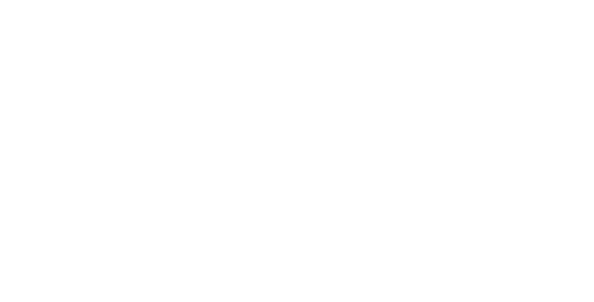 STETIK LOGO PNG
